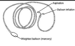 <p>nasoenteric (nose to duodenum)<br>single-lumen<br>mercury-weighted tab attached to tip to help tube go through stomach to intestines</p>