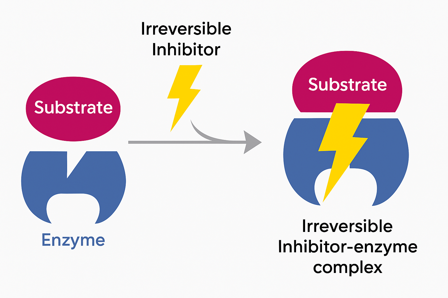 <p><span>when an i<strong>nhibitor binds to an enzyme in such a way that the enzyme's activity is permanently disrupted. This type of inhibition typically involves the formation of a covalent bond between the inhibitor and the enzyme</strong>, leading to a long-lasting effect on the enzyme's function.</span></p>
