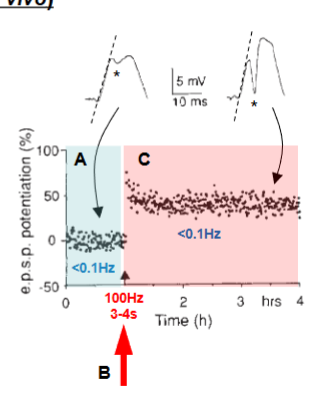 <p>outcomes from the terje lomo experiment? </p>