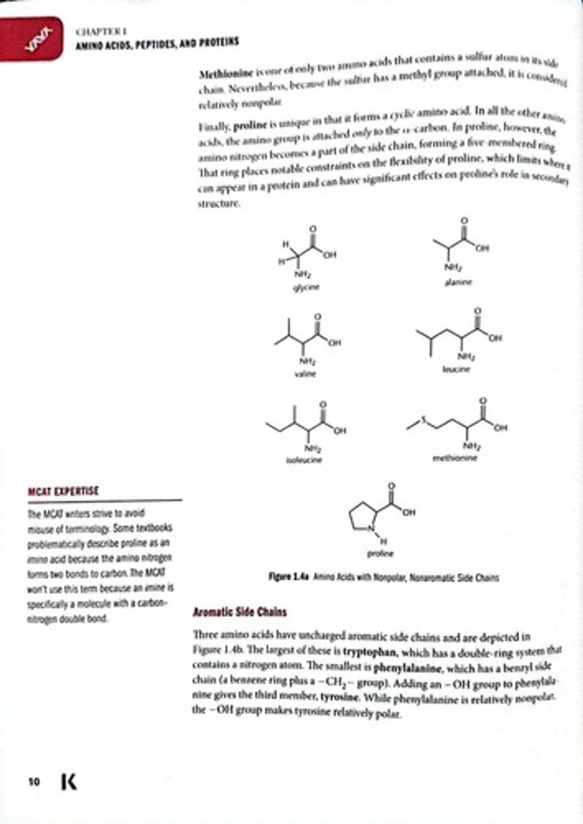 <p>20 amino acids encoded by human genetic code.</p>