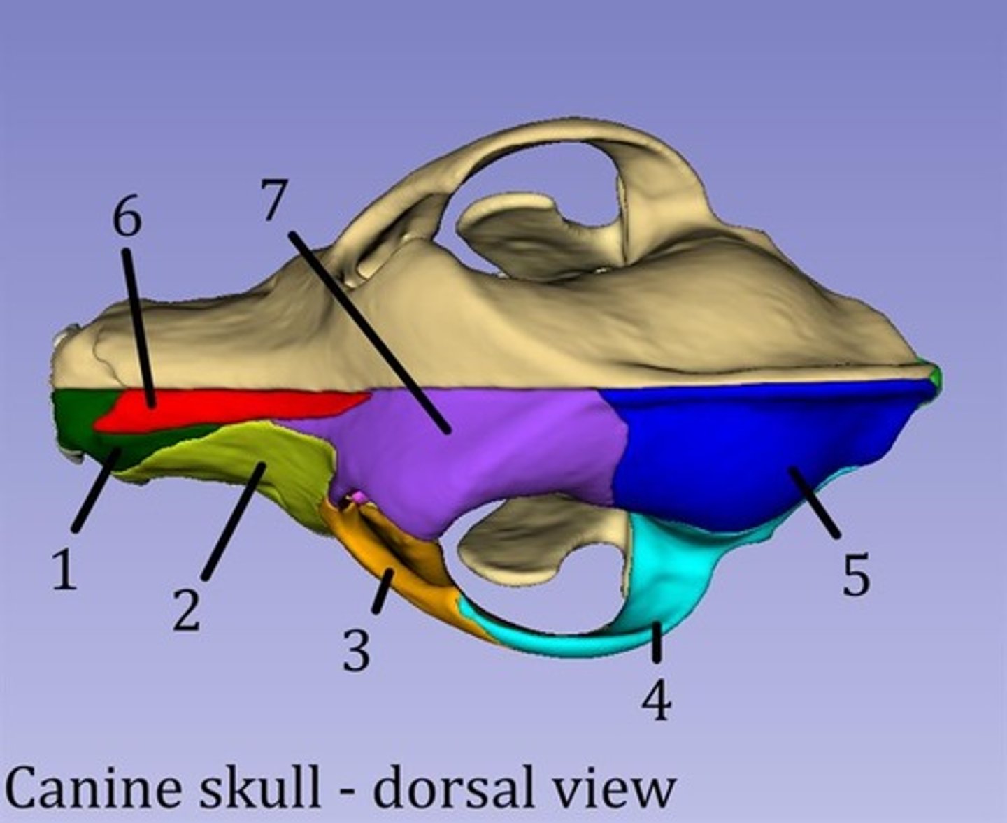<p>3?</p>