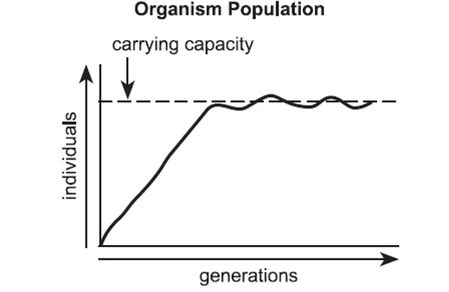 <p><span>Using the graph, determine which statement most likely describes the relationship between the population of organisms and the resources available to the population.</span></p><p></p><p><span>There are enough resources to support a stable population.</span></p><p>&nbsp;<span>There are not enough resources to support this growing population.</span></p><p><span>There are not enough resources to support this declining population.</span></p><p><span>There are inadequate resources and the population is experiencing dieback.</span></p>