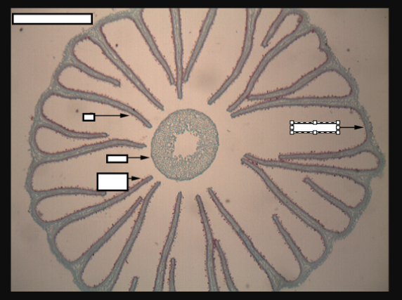 <p>What is this?</p>