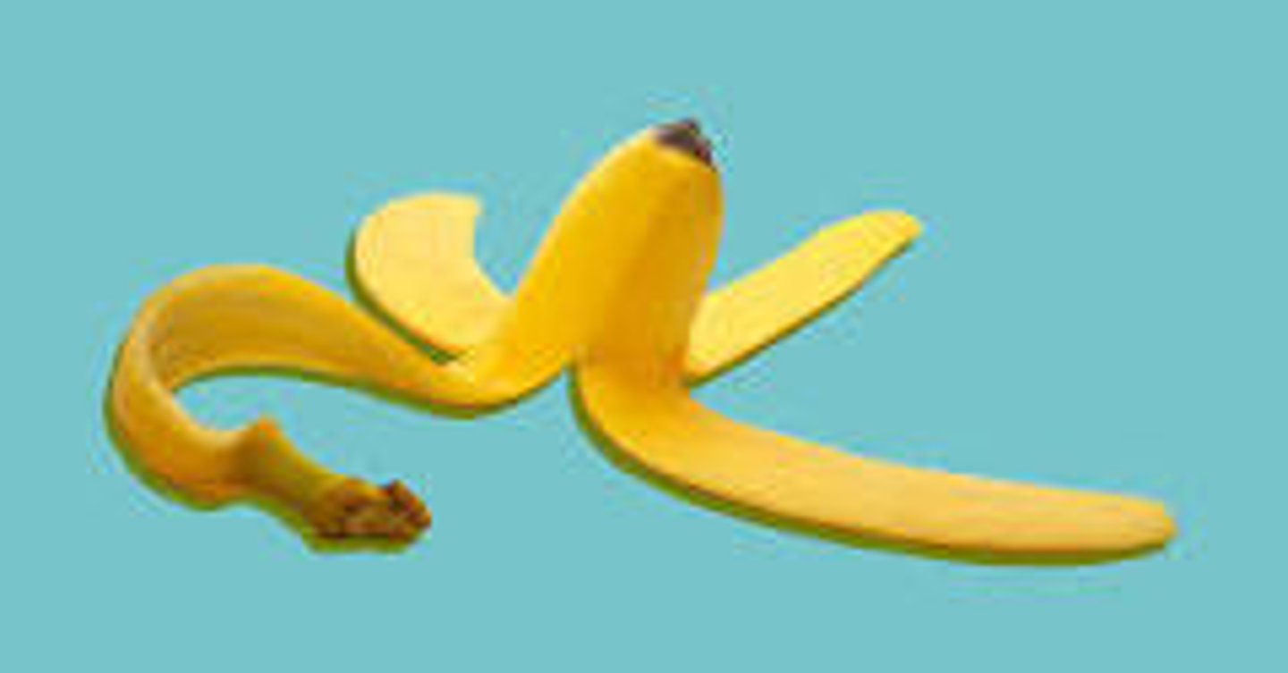 <p>a banana</p>