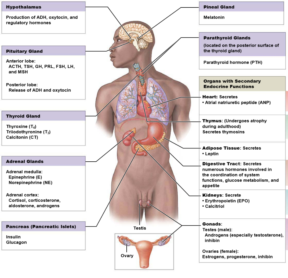 Can you describe this and label this