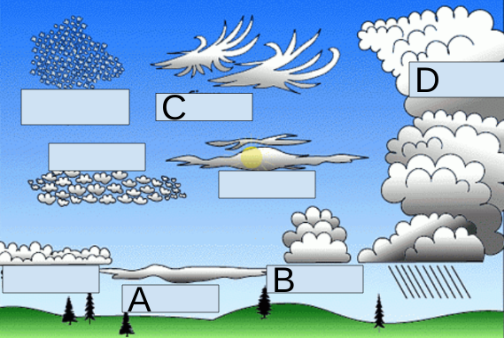 <p>Cloud type labeling: What is A?</p>