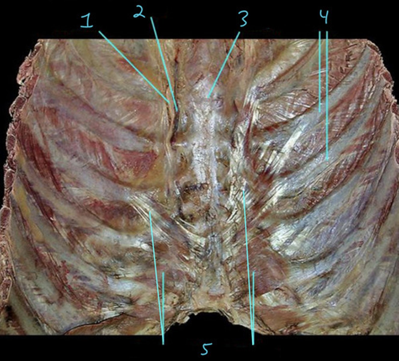 <p>4</p>