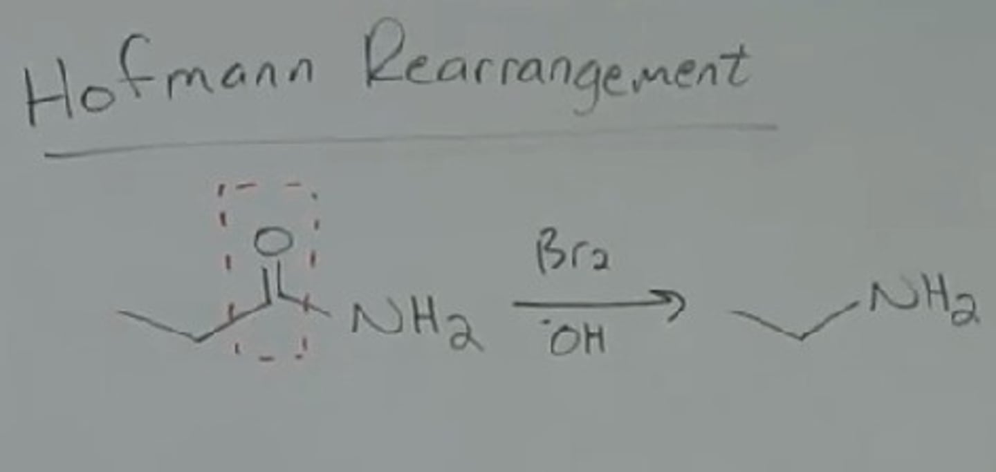 <p>1 ̊ amide -> 1 ̊ amine with one fewer carbon atom</p><p>1) Br2</p><p>2) NaOH</p>