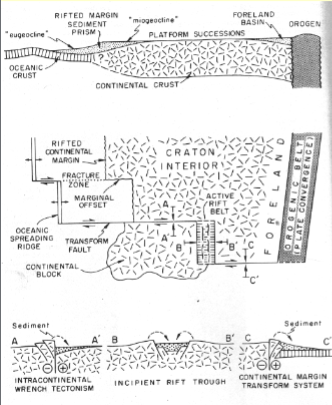 <p>Chunk of continental crust (granite). Generally feldspar and quartz rich. Seen in rift-related settings (east Africa), and transform faults</p>