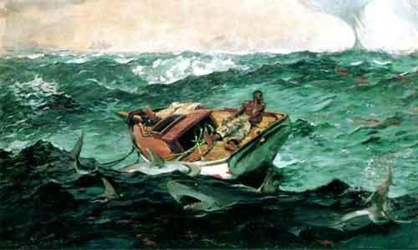 <p>The Gulf Stream</p>