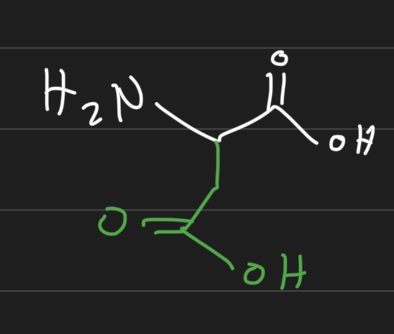 <p>Negatively charged / acidic</p><p>Like asparagine</p><p>Asp</p><p>D</p>