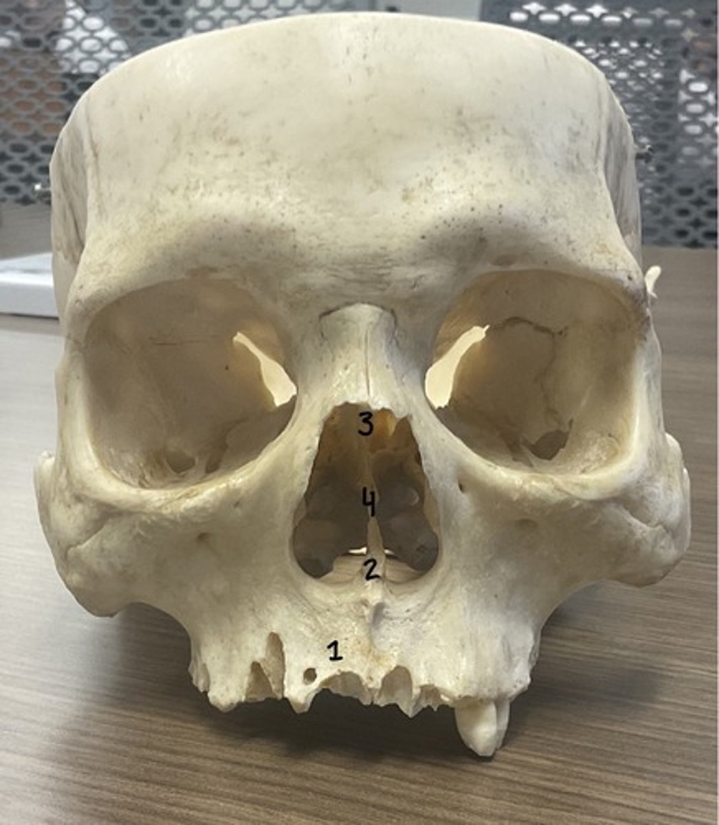 <p>What is structure 3?</p>