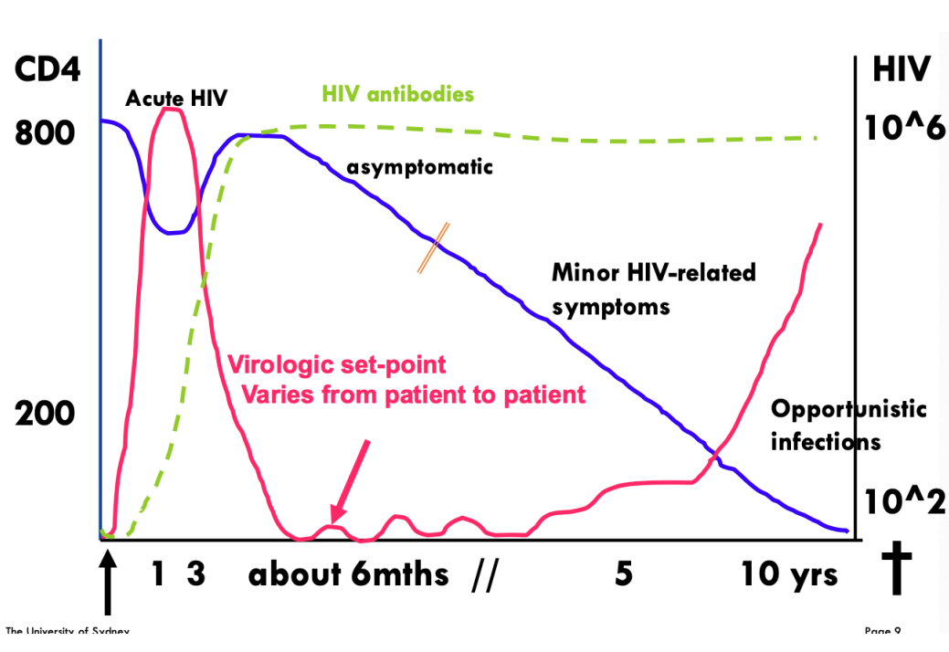 <p><span style="color: blue">CD4+ T cell Count</span></p><p><span style="color: #ed04a0">Viral Load</span></p>