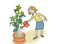 <p>regar (e-ie)</p><p>las plantas</p>