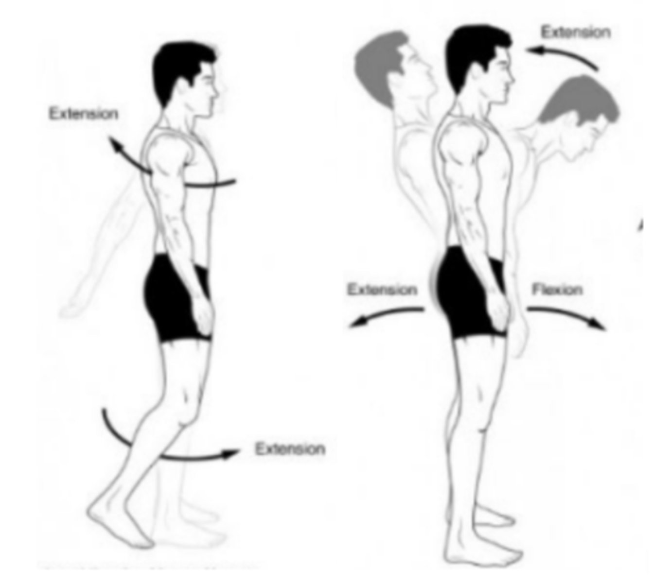 <p>Straightening of a joint</p>