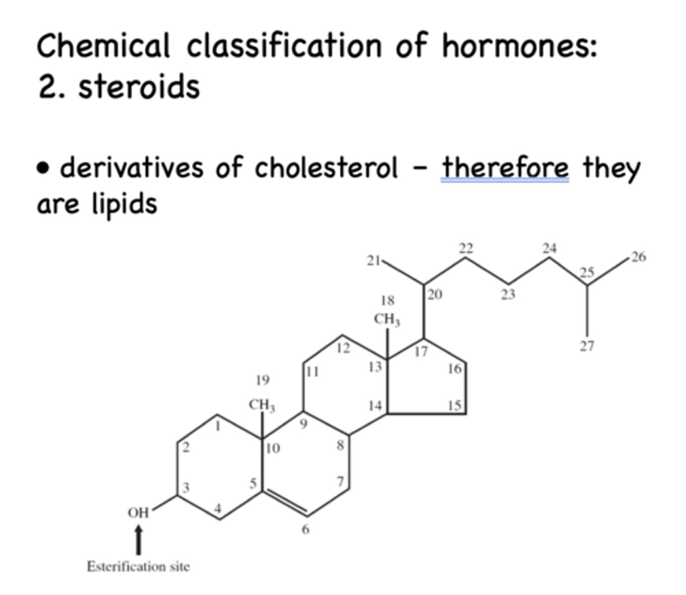 <p>not stored because they are lipids and would leak out of a vesicle or cell membrane- hence they are synthesized and secreted on demand</p>