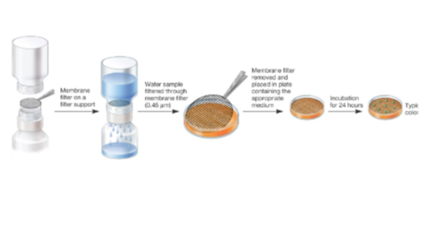 <p>soaked, membrane, original sample</p>