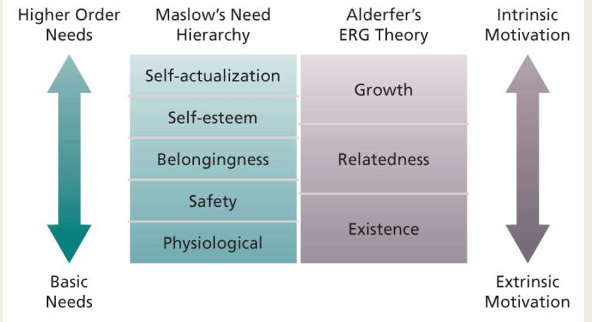 <p>Maslow’s Theory: Motivated by lowest unsatisfied need</p><p>ERG Theory: Need strength at one level depends on need satisfaction of other levels</p><ul><li><p>The more lower-level needs are gratified, the more higher-level need satisfaction is desired</p></li><li><p>The less higher-level needs are gratified, the more lower-level need satisfaction is desired</p></li></ul>