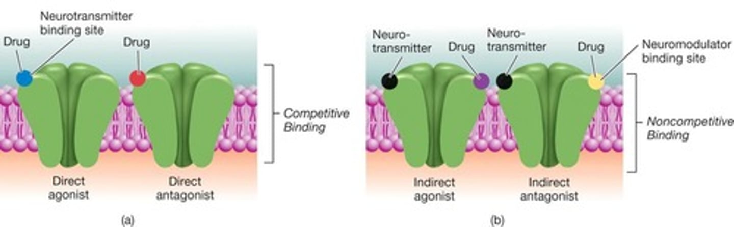 <p>Facilitates the action of a neurotransmitter.</p>