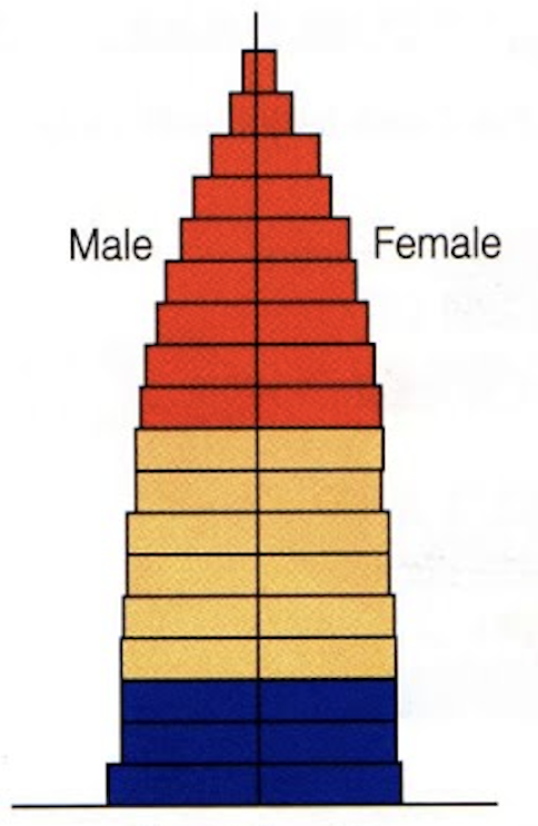 <p>identify this age structure</p>