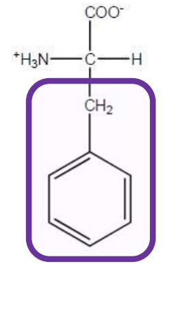 <p>Phe-F-Aromatic and non polar </p>
