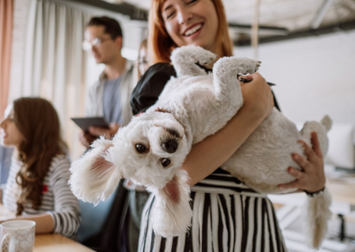<p>used to describe a place where you can stay with your pet</p><p>This apartment is ________.</p>