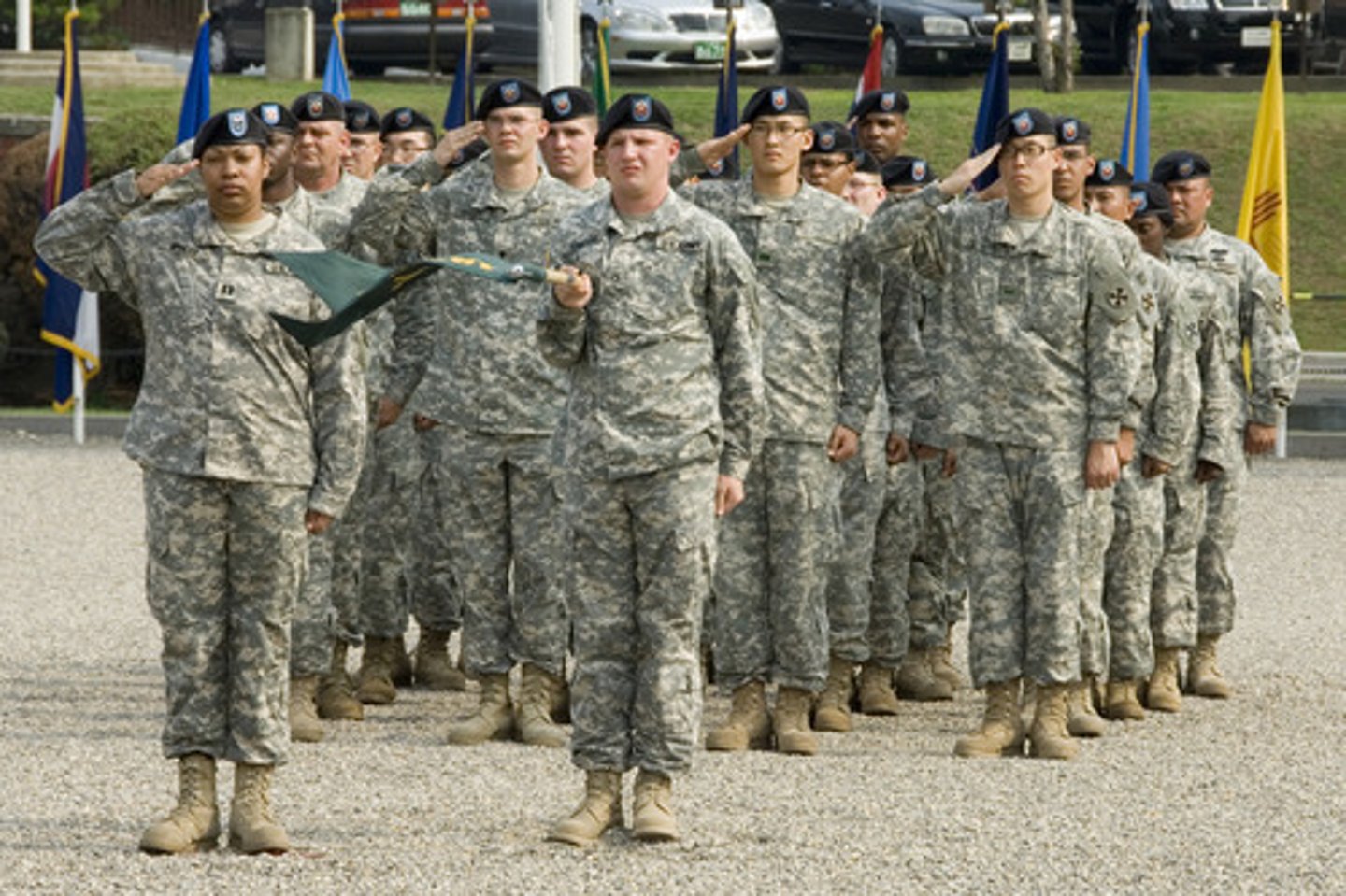 <p>the men of the troop</p>