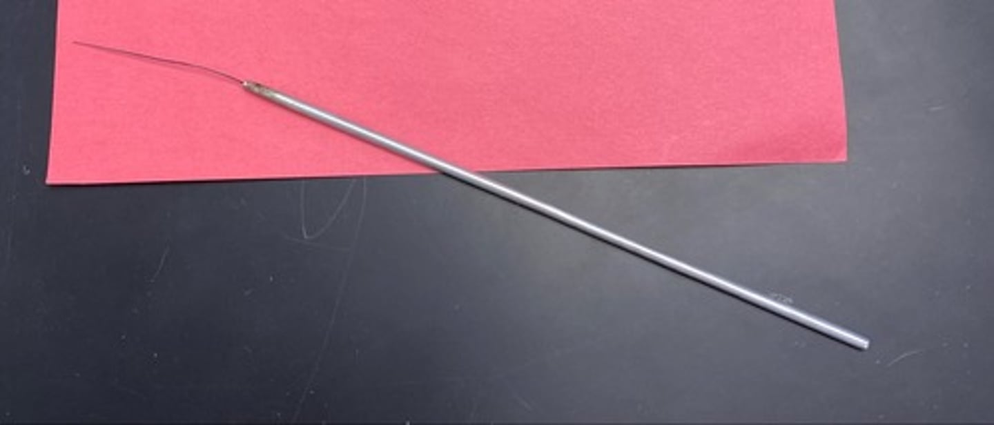 <p>Needle used to transfer microorganisms.</p>