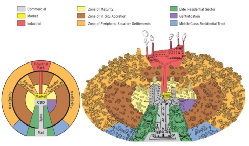 <p>A model of the internal structure of a Latin American city developed by Ernst Griffin and Larry Ford</p><ul><li><p>A combination of concentric zones and radial sectors</p></li><li><p>Has a commercial “spine” connecting the CBD to a mall/church, which is flanked by elite residences</p></li><li><p>Zone of maturity: Rings the CBD/market center and is occupied by the middle classes and contains the best housing outside of the elite sector - also contains a small gentrification sector</p></li><li><p>Zone of situ accretion:  A transitional area between the zone of maturity and the poorest parts of the city</p></li><li><p>Disamenity sector: A zone that offers very few services and is home to the very poor. They are also known as peripheral squatter settlements and the quality of life here is very poor</p></li></ul><p></p>