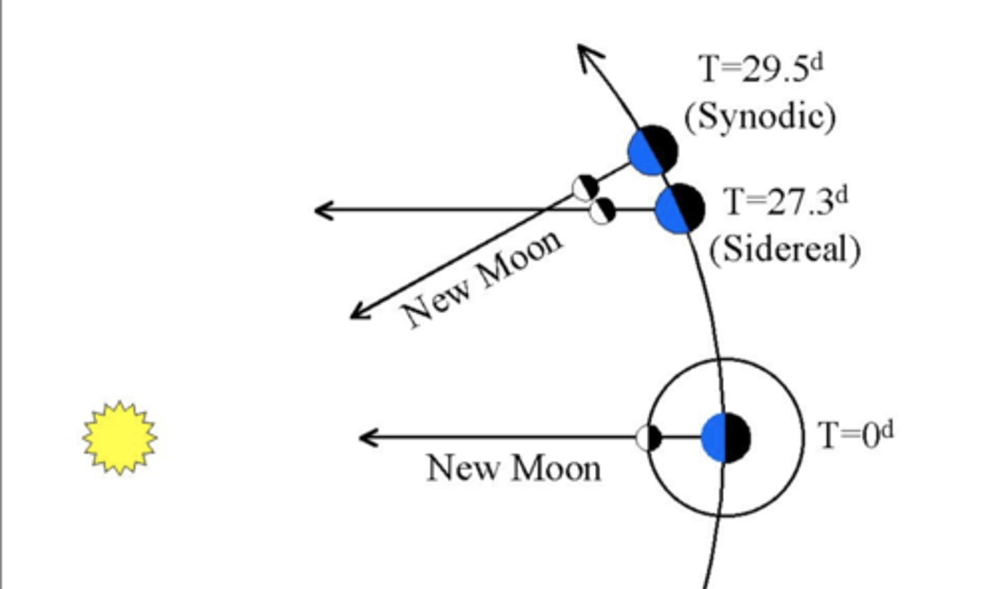 <p>- just over 27 days<br>- time it takes for one revolution relative to the stars<br>- different from the synodic month because of Earth's continuous motion around the Sun</p>