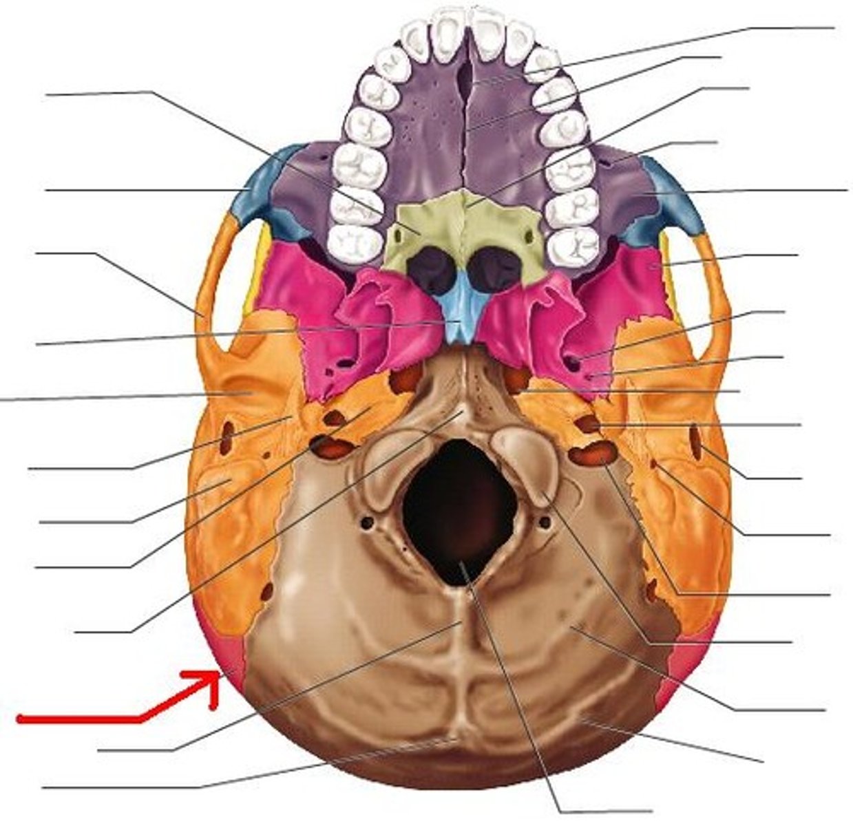 knowt flashcard image