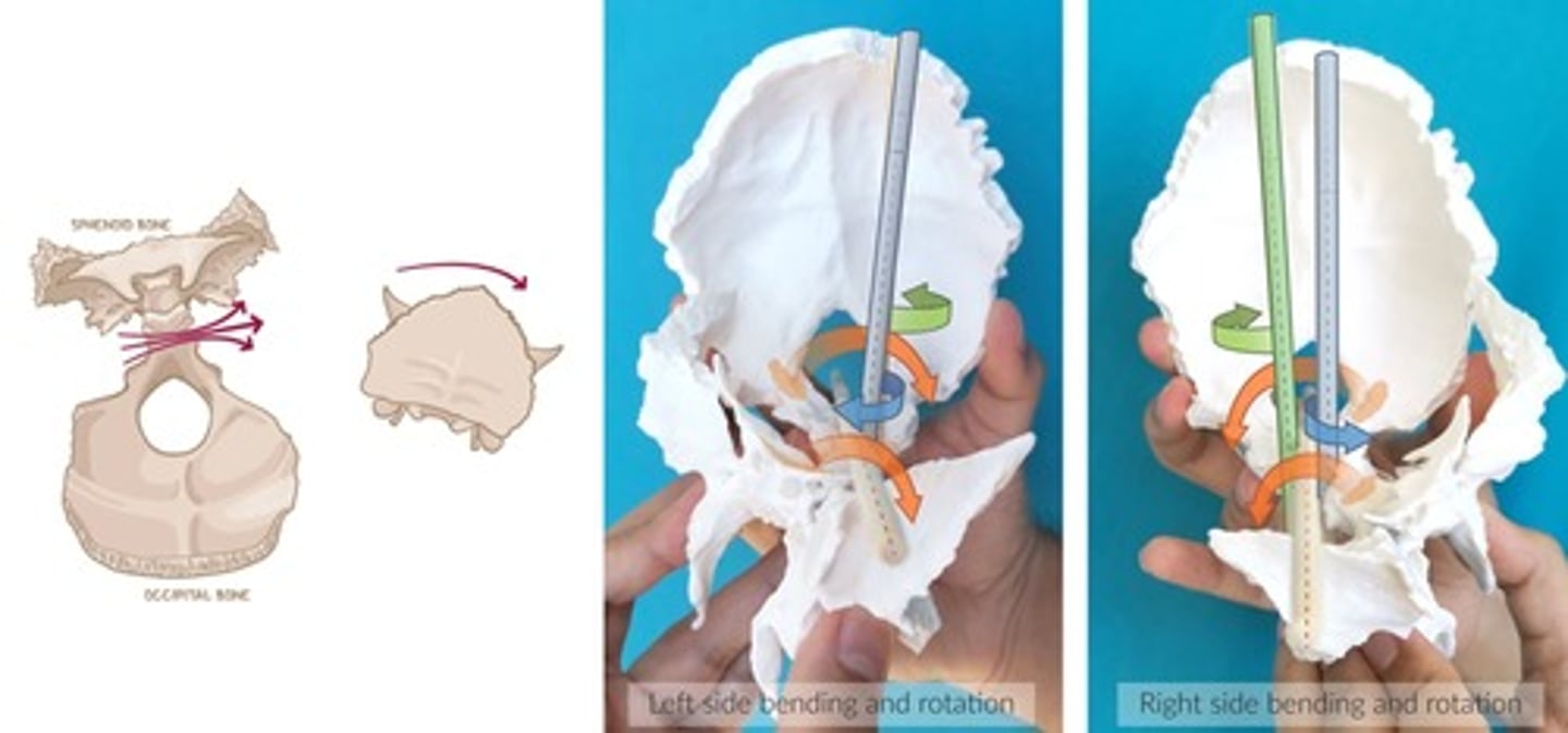 <p>How is the Cranial Side-Bending Rotation named?</p>