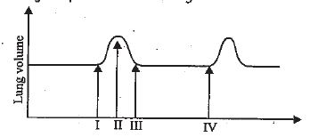 <p>the change from 2 to 3 indicates</p><p></p>