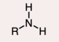 <p>the nitrogen atom is bonded to one R group and two hydrogen atoms. </p>