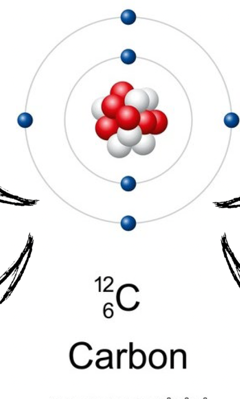 <p class="p2">Carbon atoms contain 4 electrons in their outer shell <span style="background-color: transparent;"><span>→</span></span> can pair up with electrons of other atoms <span style="background-color: transparent;"><span>→ able to</span></span> form single/double/triple covalent bonds with other atoms</p>