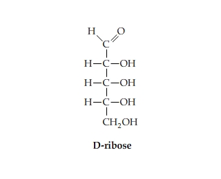 \
\
D-ribose (Figure 1) is treated with a mild oxidizing agent. Edit the structure for D-ribose to show the product of this reaction.