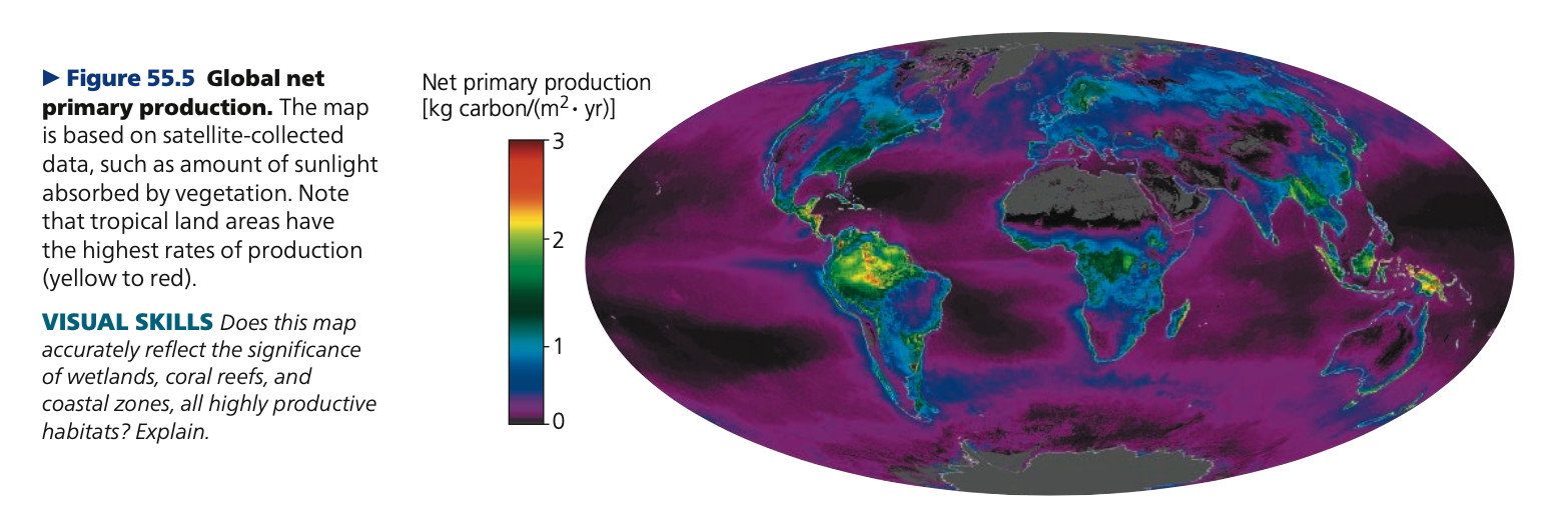 Net primary production (NPP)
➔ GPP minus the energy used by the primary producers (autotrophs) for
their _____________
➔ Expressed as:
◆ Energy per unit area per unit time(J/(m^2*yr)
◆ Biomass (mass of vegetation) added per unit area per unit time [g/(m^2 & yr)