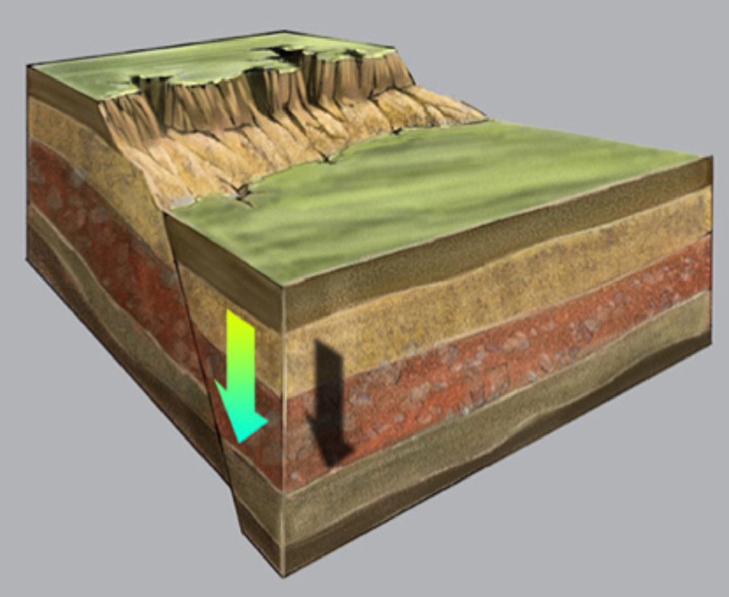 <p>/dɪp/ (v)<br>to go down to a lower level:</p>