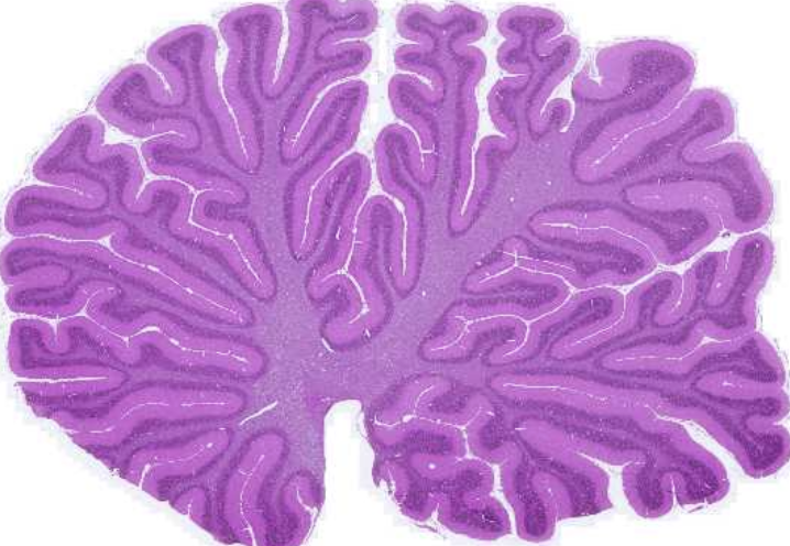 <p>What is this?</p>