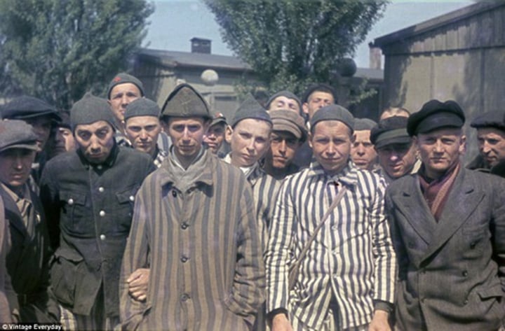 <p>Holocaust</p>