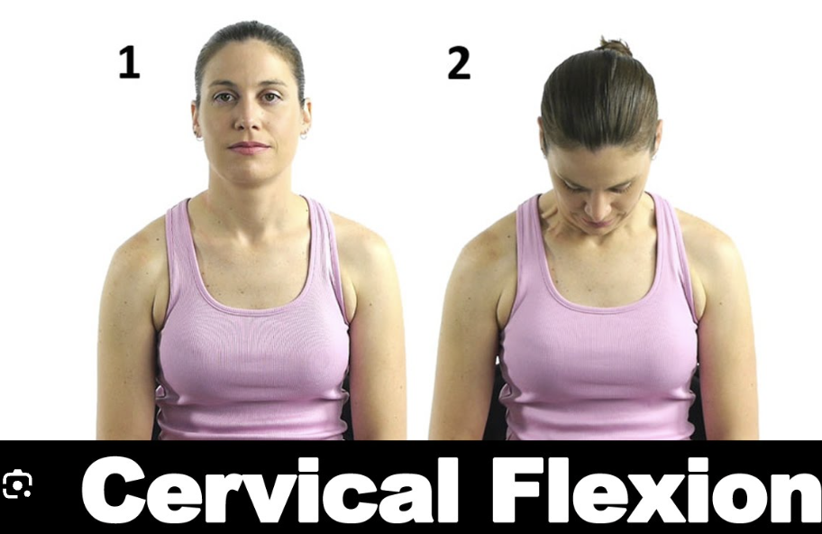 <p>Cervical Flexion</p>