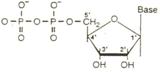 <p>what molecule is this?</p>