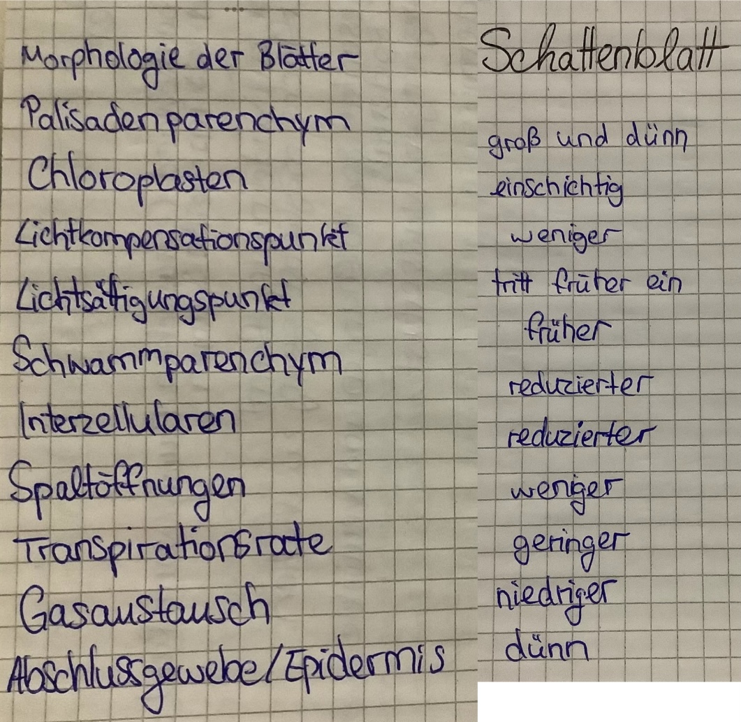 <p></p>