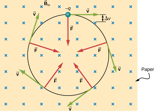 <p>Because the magnetic force is perpendicular to velocity and acts as a centripetal force</p>