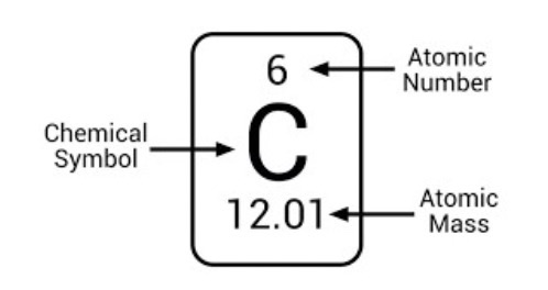 <p><strong>protons</strong> + <strong>neutrons</strong></p>