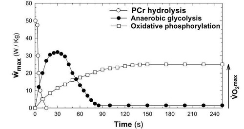 <p>(Work/time) capacity The power cap of each metabolic system varies depending on the system, and the demand of the sport Y axis - W/kg X axis - time</p>