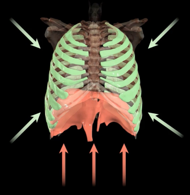 <p>What is occcuring?</p>