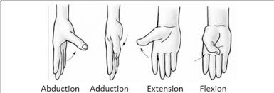 <p>what type of joint is this</p>