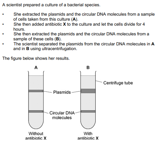<p>What can you conclude from the figure above about a structural difference between the plasmids and the circular DNA? Explain your answer.</p>