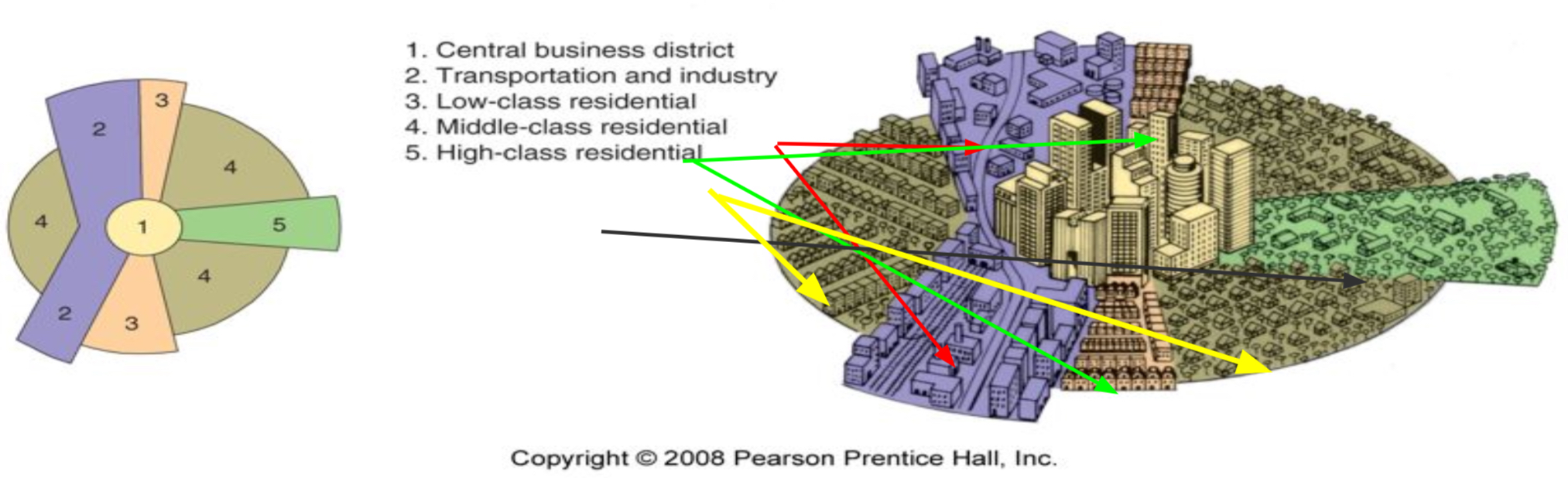 <p>Hoyt Sector Model</p>